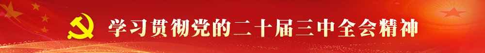 學習貫徹黨的二十屆三中全會精神